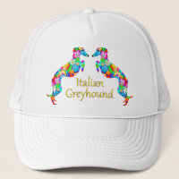 Italiaanse Greyhounds
