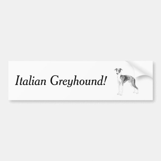 Italiaanse Greyhoundstijl Bumpersticker (Voorkant)