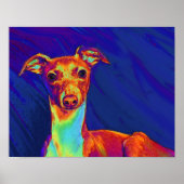 italiaanse griespuppy poster (Voorkant)