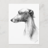 Italiaanse grijze whippet-portrettekenkunst briefkaart (Voorkant)