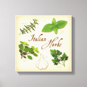 Italiaanse Herbs Canvas Art