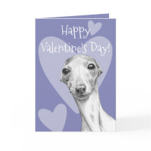 Italiaanse hond Greyhound Cute Valentijnsdag Love