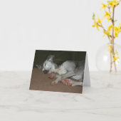 Italiaanse Kaart Greyhound #1 (Gele Bloem)