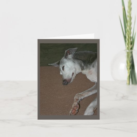 Italiaanse Kaart Greyhound #2 (Voorkant)