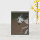 Italiaanse Kaart Greyhound #2 (Gele Bloem)