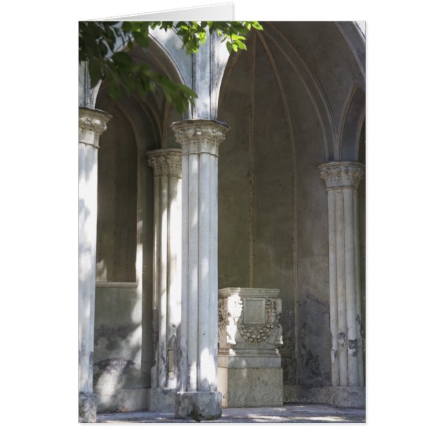 Italiaanse kaart, Villa Celimontana (Voorkant)