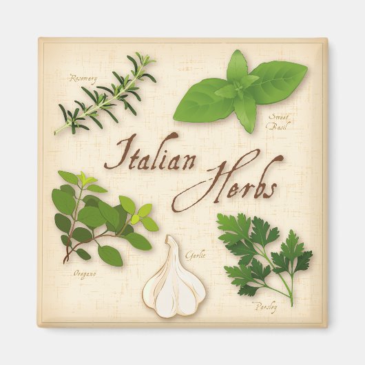 Italiaanse kruiden, Basil, Oregano, peterselie, kn Magneet (Voorkant)