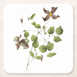 Italiaanse lederbloem (Clematis) van Redouté Kartonnen Onderzetters
