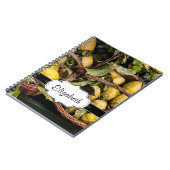 Italiaanse legerluiers in een mand notitieboek (Linkerzijde)