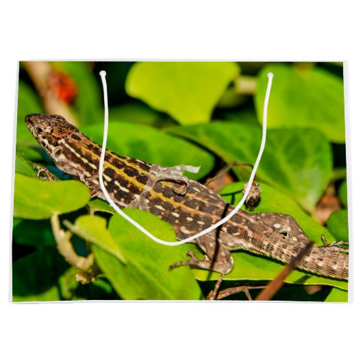 Italiaanse muurschild groot cadeauzakje (Voorkant)