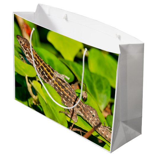 Italiaanse muurschild groot cadeauzakje (Achterkant Gekanteld)