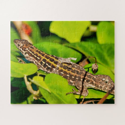 Italiaanse muurschild legpuzzel (Horizontaal)