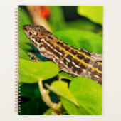 Italiaanse muurschild planner (Voorkant)
