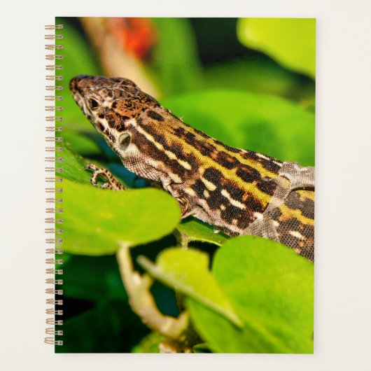 Italiaanse muurschild planner (Voorkant)