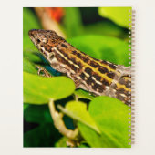 Italiaanse muurschild planner (Achterkant)