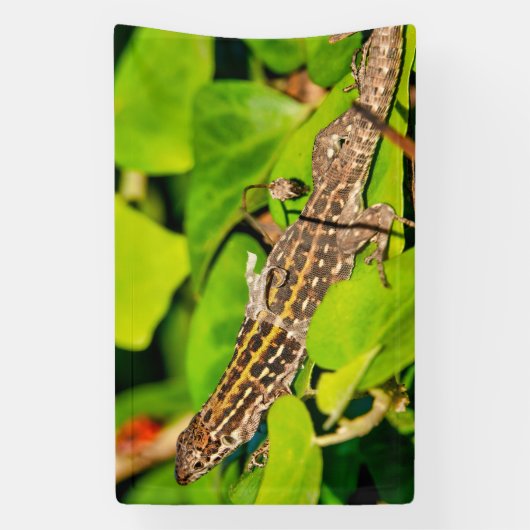 Italiaanse muurschild spandoek (Verticaal)