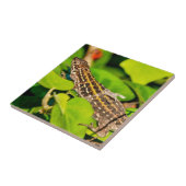 Italiaanse muurschild tegeltje (Zijkant)