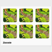 Italiaanse muurschild vierkante sticker (Vel)