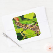 Italiaanse muurschild vierkante sticker (Envelop)