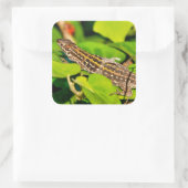 Italiaanse muurschild vierkante sticker (Tas)