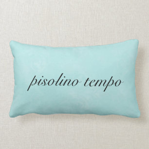 Italiaanse "Nap Time" Aqua Pillow Kussen