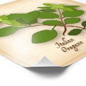 Italiaanse Oregano-fotofoto Foto Afdruk (Hoek)