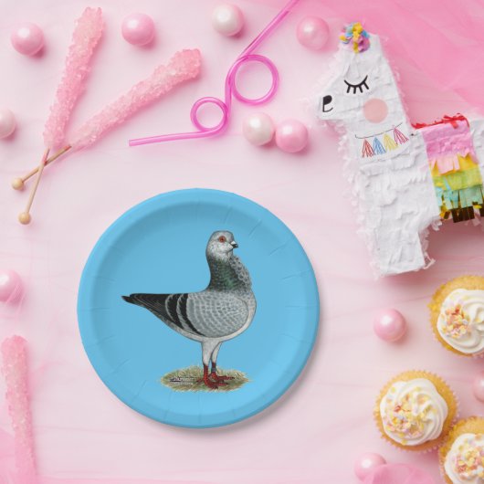 Italiaanse Owl Grizzle Pigeon Papieren Bordje (Feest)