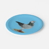 Italiaanse Owl Grizzle Pigeon Papieren Bordje (Gekanteld)