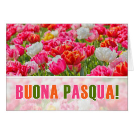 ITALIAANSE Pasen Joyeuses Paques Pink Tulip Garden