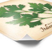 Italiaanse peterselie foto's foto afdruk (Hoek)