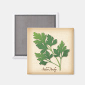 Italiaanse peterselie Herb Magneet (Voorkant / Achterkant)