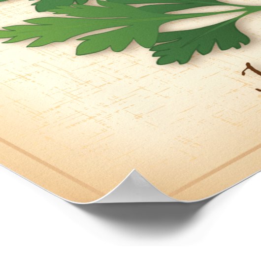 Italiaanse peterselie Herb Poster (Hoek)