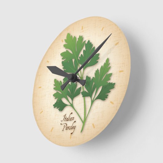 Italiaanse peterselie Herb Ronde Klok (Hoek)