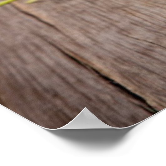 Italiaanse pizza poster (Hoek)