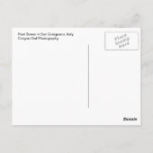 Italiaanse postbus-postkaart briefkaart (Achterkant)