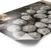 Italiaanse Salami Foto Afdruk (Hoek)