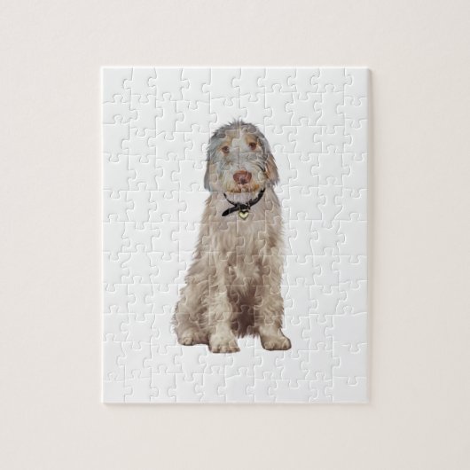 Italiaanse Spinone (A) - Tarwe Legpuzzel (Verticaal)
