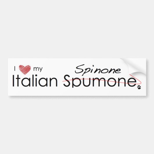 Italiaanse Spinone Bumpersticker (Voorkant)