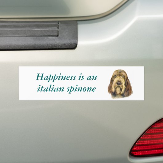 Italiaanse Spinone-Bumpersticker Bumpersticker (Op auto)