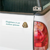 Italiaanse Spinone-Bumpersticker Bumpersticker (Op Truck)