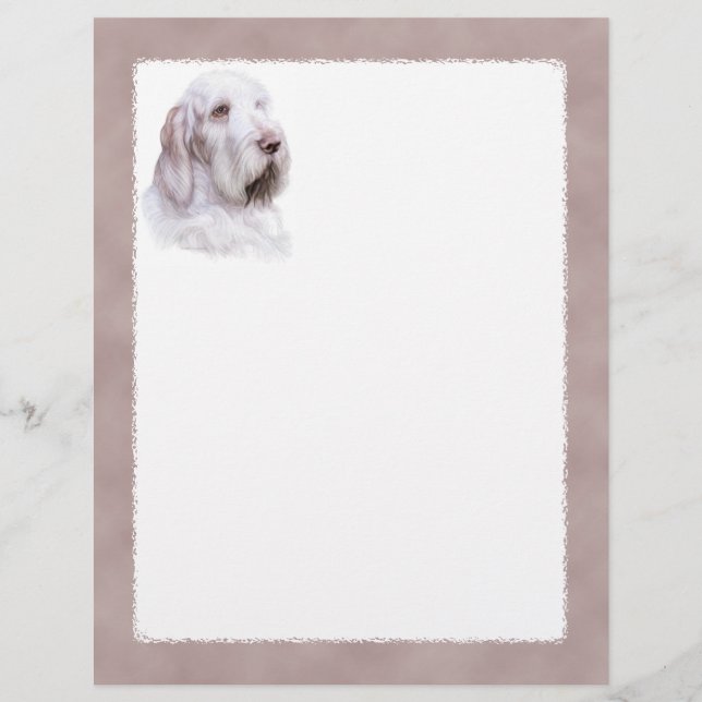 Italiaanse Spinone Italiano (Voorkant)