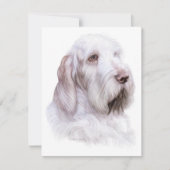 Italiaanse Spinone Italiano Kaart (Voorkant)