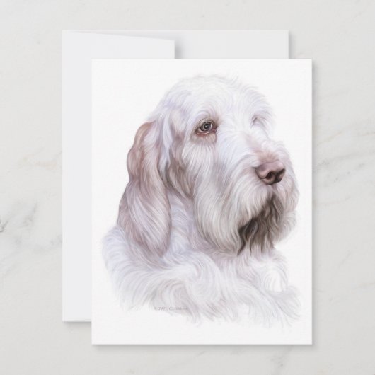 Italiaanse Spinone Italiano Kaart (Voorkant)