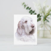 Italiaanse Spinone Italiano Kaart (Staand voorkant)