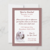 Italiaanse Spinone Italiano Kaart (Achterkant)