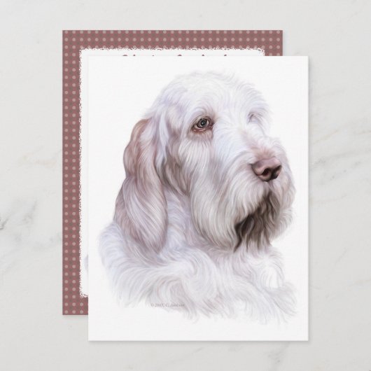 Italiaanse Spinone Italiano Kaart (Voorkant / Achterkant)