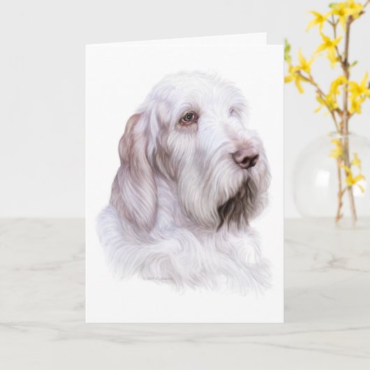 Italiaanse Spinone Italiano Kaart (Gele Bloem)