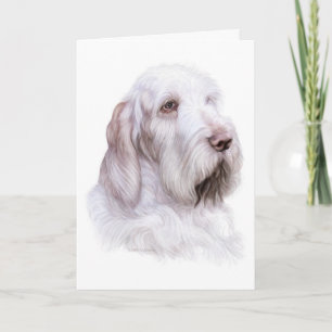 Italiaanse Spinone Italiano Kaart