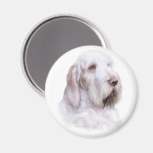 Italiaanse Spinone Italiano Magneet (Voorkant / Achterkant)
