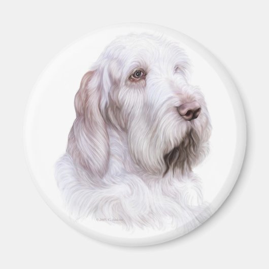 Italiaanse Spinone Italiano Magneet (Voorkant)